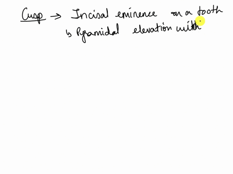 1j10-13-_4-all-the-teeth-has-cusp-a-true-b-faulse-c-at-the-incisal-edges-d-single-rooted-teeth-aslll-jlylsu-as-ljl-03513