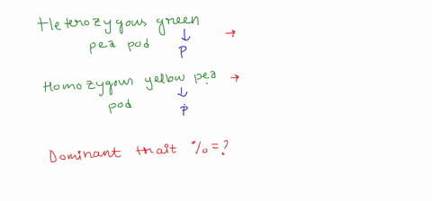 a-farmer-crosses-a-pea-plant-heterozygous-for-green-peapod-color-with-a-homozygous-recessive-yellow-pea-pod-what-percentage-of-the-offspring-will-most-likely-show-the-dominant-trait-100-50-2-69151