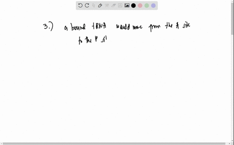 question-3-1-point-ribosomes-contain-several-binding-sites-for-trna-during-elongation-of-protein-synthesis-what-is-the-correct-order-of-movement-for-a-trna-participating-in-protein-synthesis-03266