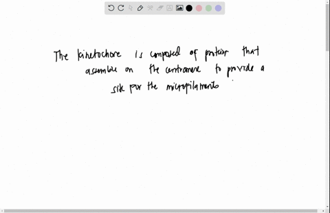 question-1pts-which-of-the-following-statements-is-true-when-thinking-about-chromosome-movement-microtubules-attach-to-the-kinetochores-during-early-prophase-the-microfilaments-pull-the-chro-47101