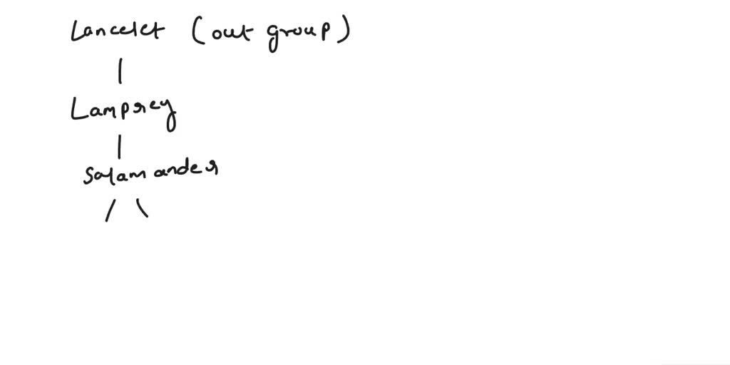 SOLVED: Question 2: Using only morphological traits and basic