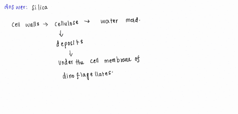 radiolaria-and-diatoms-have-a-shell-of-___________-a-cellulose-c-calcium-carbonate-b-silica-d-chitin-60067