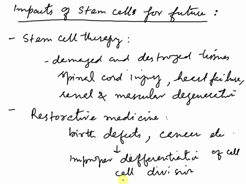 stem-cells-are-a-type-of-cell-that-have-yet-to-become-specialized-this-means-that-their-role-within-the-body-has-not-been-determined-yet-due-to-this-unique-property-stem-cells-are-able-to-be-52364