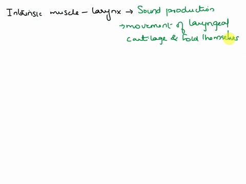 name-three-intrinsic-laryngeal-muscles-state-their-innervation-and-functions