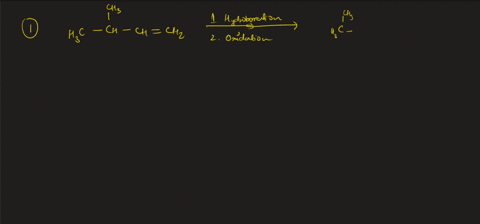 what-alkenes-might-the-following-alcohols-have-been-prepared-from-4-66756
