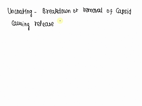question-16-1pts-inside-an-infected-host-cellseparation-of-viral-nucleic-acid-from-capsid-ieuncoating-is-a-key-step-in-the-reproduction-of-rnaviruses-only-odna-viruses-only-o-all-viruses-78513