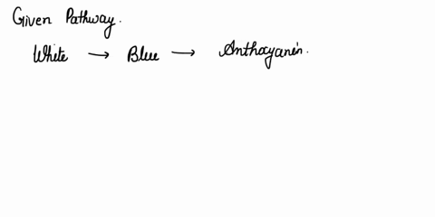 in-sweet-peas-the-synthesis-of-purple-anthocyanin-pigment-in-the-petals-is-controlled-by-two-genes-2-23676