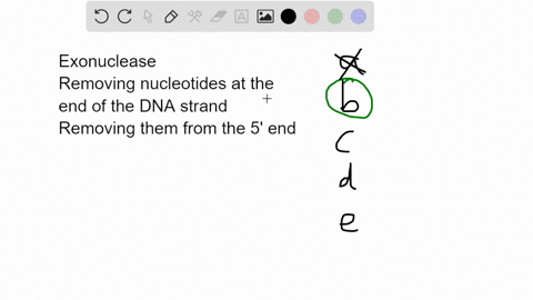 1d-25-the-5_3-exonuclease-activity-involves-all-the-following-except-dna-repair-can-also-be-undertaken-by-this-activity-activity-is-possessed-by-both-dna-polymerase-iii-pue-both-ribonucleoti-53272