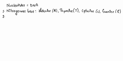 the-sequence-of-individual-nucleotides-specifically-the-pattern-of-the-nucleotides-________________-provides-the-genetic-sequence-found-in-dna-group-of-answer-choices-nitrogenous-bases-phosp-71798
