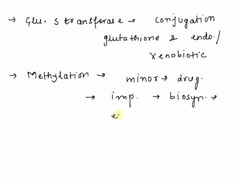in-which-conjugation-reaction-first-the-substrate-is-activated-ad-then-couples-with-the-endogen-cosubstrate-select-one-glutathione-conjugation-b-methylation-amino-acid-conjugation-d-sulfate-53608