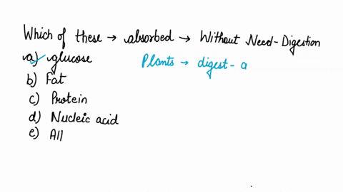 which-of-these-could-be-absorbed-directly-without-need-of-digestion-a-glucose-b-fat-c-protein-d-nucl-09917