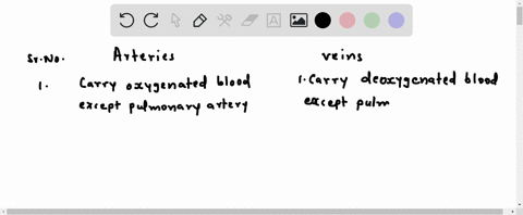 how-do-arteries-differ-from-veins