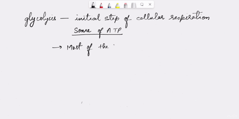 question-9-1-pts-most-of-the-atp-produced-during-cellular-respiration-is-produced-during-glycolysis-true-false-77634