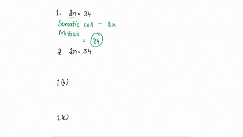 1-an-organisms-diploid-genome-contains-34-chromosomes-how-many-chromosomes-will-be-in-a-single-somatic-daughter-cell-after-mitosis-1a-an-organisms-diploid-genome-contains-34-chromosomes-how-37995