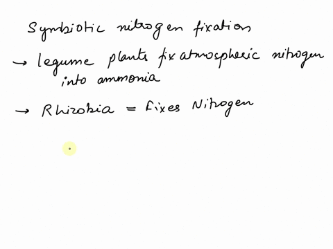 identify-three-beneficial-results-of-symbiotic-nitrogen-fixation-a-plants-benefit-from-an-endless-su-03555