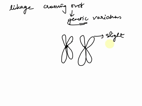 explain-how-both-linkage-and-crossing-over-affect-genetic-variation-in-egg-and-sperm-produced-during-meiosis-33584