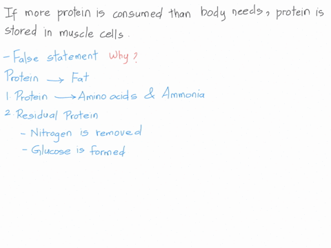 q-if-more-protein-is-consumed-than-the-body-needs-the-amino-acids-are-stored-in-muscle-tissue-answer-true-or-false-if-false-provide-a-support-statement-for-your-answer-05813
