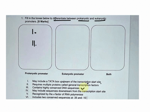 1fill-in-the-boxes-below-to-differentiate-between-prokaryotic-and-eukaryotic-promoters6marks-prokaryotic-promoter-eukaryotic-promotor-both-i-ii-iii-iv-v-vi-may-include-a-tata-box-upstream-of-07334