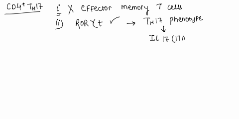 1-which-of-the-following-statements-about-cd4-th17-cells-are-true-i-cannot-form-t-effector-memory-tem-t-cell-populations-ii-require-the-master-transcription-factor-rorgammat-for-their-develo-16546