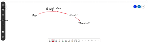 gtp-which-can-be-converted-to-atp-is-produced-during-which-reaction-of-the-citric-acid-cycle-a-isocitrate-into-alpha-ketoglutarate-b-succinyl-coa-into-succinate-c-fumarate-into-malate-d-malate-into--2
