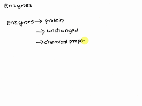 enzymes-are-proteins-that-speed-up-chemical-reactions-in-the-body-how-do-they-work-65553