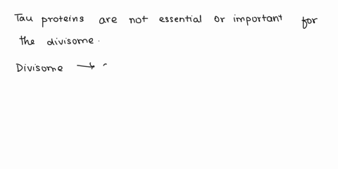 true-or-false-1-tau-proteins-are-essential-and-important-for-the-divisome2-oxidative-phosphorylation-generates-34-atp-in-aerobic-respiration-20523