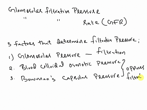 describe-the-factors-that-influence-glomerular-filtration-pressure-and-the-glomerular-filtration-rate-gfr-41503