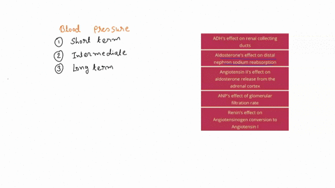 the-following-mechanisms-influence-long-term-blood-pressure-which-of-these-mechanisms-act-over-minutes-and-which-act-over-hours-pts-minutes-hours-adhs-effect-on-renal-collecting-ducts-aldost-87724