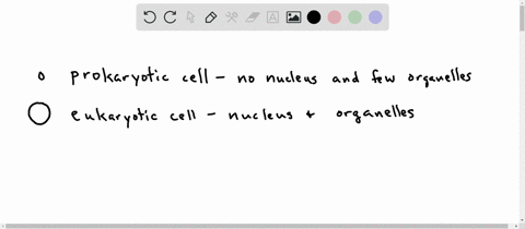 eukaryotic-cells-contain-complex-organelles-that-carry-out-their-chemical-reactions-prokaryotes-lack-many-of-these-complex-organelles-although-they-have-a-variety-of-unique-structures-of-their-own-h-3