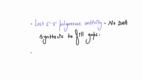 dna-polymerase-i-has-5533-polymerase-activity-5533-exonuclease-activity-and-3355-exonuclease-activity-necessary-for-dna-replication-mutations-in-the-gene-that-encodes-dna-polymerase-i-may-ca-30196