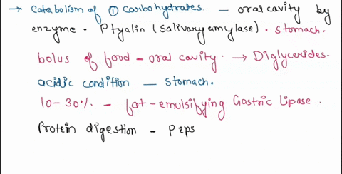 bi0-169-digestive-l4b-lab-actinity-digestive-enxymes-fill-in-the-blank-ith-thc-tha-bcst-comolctes-ite-statcmen-latidolm-fnled-alnthaon-dythe-entymo-whicn-brezts-cown-lysaccharido-such-starch-77953
