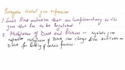 question-3-the-following-are-examples-of-how-eukaryotic-cells-may-control-gene-expression-small-rna-molecules-methylation-of-dna-and-histones-histone-acetylation-promoter-region-that-control-14888