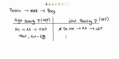 distinguish-between-high-quality-and-low-quality-proteins-identify-examples-of-each-and-describe-the-concept-of-complementary-proteins-list-the-function-of-proteins-in-the-body-calculate-the-88321