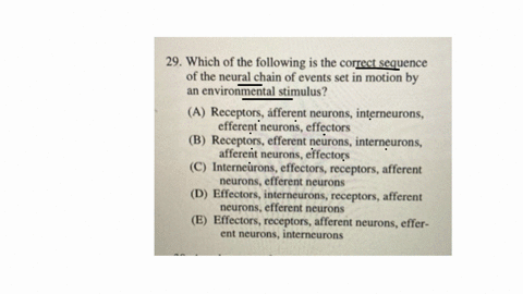 29-which-of-the-following-is-the-correct-sequence-of-the-neural-chain-of-events-set-in-motion-by-an-environmental-stimulus-a-receptors-aafferent-neurons-interneurons-efferent-neurons-effectors-b-recep