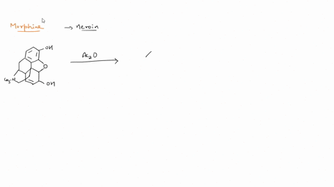 1-morphine-contains-which-functional-groups-select-all-that-apply-a-benzene-ring-b-ether-c-hydroxyl-d-amino-e-caarboxylic-acid-f-cyclic-alkene-g-sulfur-bonds-h-cyclic-alkane-2-morphine-and-h-99087