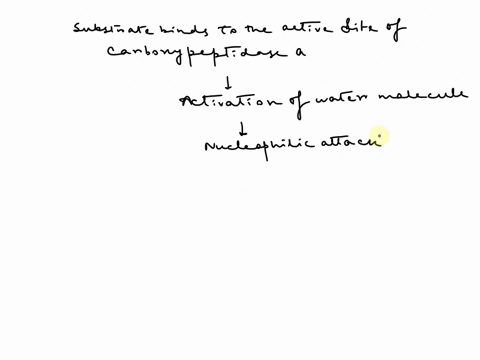 questionl-continued-c-peptidases-are-zinc-enzymes-that-cleave-peptide-bonds-the-active-site-of-carboxypeptidase-a-shown-below-contains-two-histidine-ligands-glutamic-acid-ligand-and-a-bound-32746