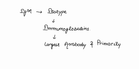 microbiology-case-study-primary-atypical-pneumonia-in-a-child-12-year-old-girl-was-admitted-with-fever-persistent-nonproductive-cough-and-night-sweats-she-appeared-mildly-dyspneic-four-weeks-87305