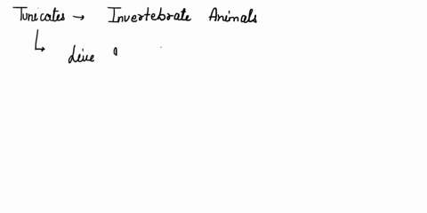 what-is-the-nature-of-cell-walls-in-diatoms-69057