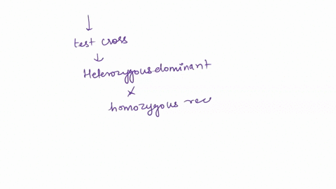 when-predicting-the-phenotypic-ratio-of-a-crossing-between-two-heterozygous-fruit-flies-the-ratio-was-shown-to-be-9331-what-would-the-parental-fruit-flys-genotype-have-been-if-the-resulting-38887