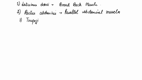 for-each-of-the-muscles-below-state-the-criteria-used-for-naming-the-muscle-for-example-serratus-anterior-is-a-saw-toothed-anterior-muscle-1-latissimus-dorsi-2-rectus-abdominis-3-trapezius-4-65777