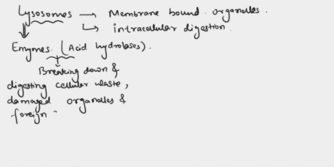 lysosomes-function-in-a-protein-synthesis-b-processing-and-packaging-c-intracellular-digestion-d-l-2-66813
