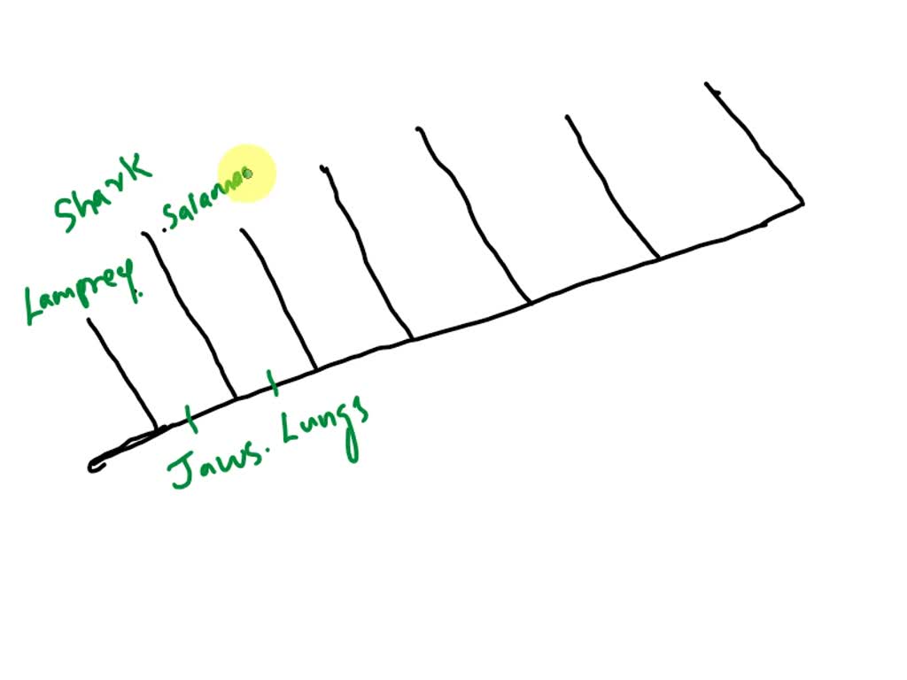 SOLVED: Phase (Constructing phylogenetic tree): If we were biologists