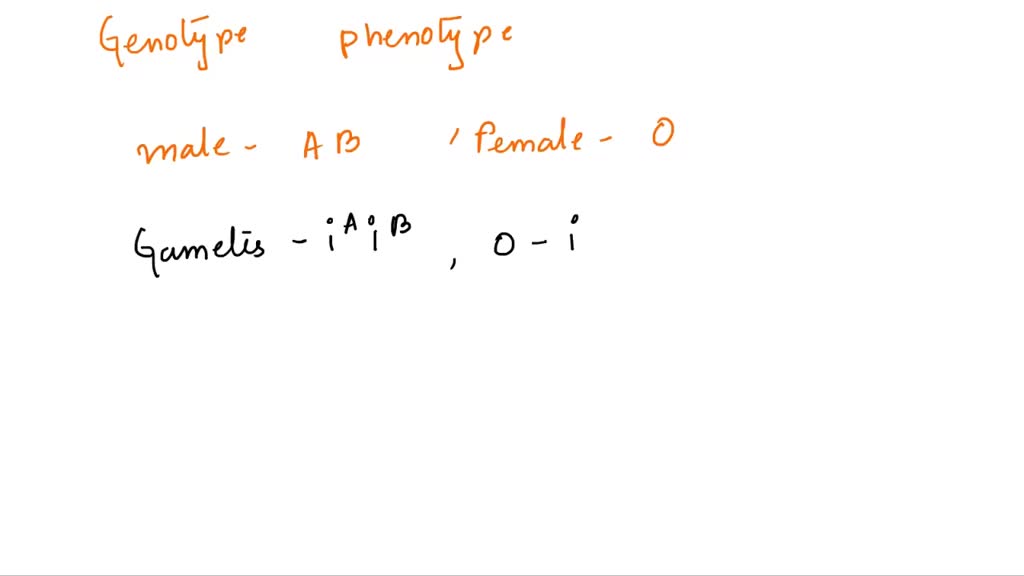 Solved Show The Possible Genotypes And Phenotypes Of The Offspring From A Cross Between A 5282