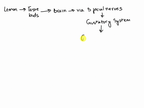 which-of-the-following-event-does-not-occur-when-you-eat-the-lemon-slice-ie-very-sour-food-that-came-in-your-glass-of-water-question-3-options-a-action-potentials-travel-along-the-primary-se-40714