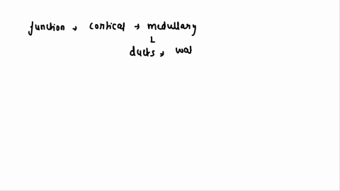 what-is-the-major-function-of-cortical-and-medullary-collecting-ducts-55693