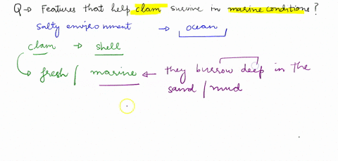 looking-at-clams-list-several-features-of-clams-that-enable-it-to-survive-in-a-marine-environment-what-are-their-functions-how-do-these-features-help-a-clam-survive-in-marine-conditions-90047