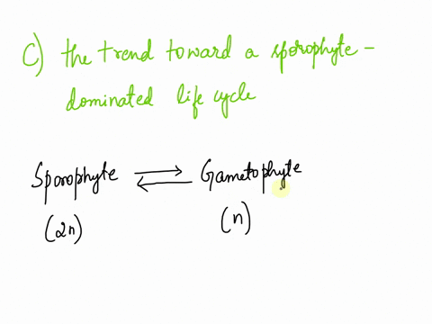 which-of-these-is-a-major-trend-in-land-plant-evolution-a-the-trend-toward-smaller-size-b-the-trend-toward-a-gametophyte-dominated-life-cycle-c-the-trend-toward-a-sporophyte-dominated-life-c-11074