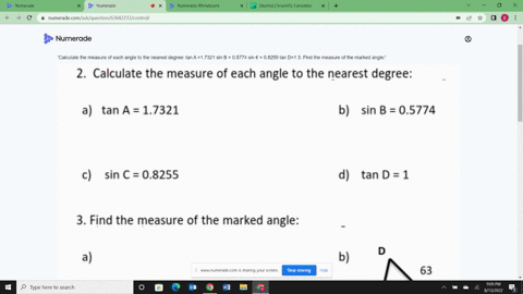 calculate-the-measure-of-each-angle-to-the-nearest-degree-tan-a-17321-sin-b-05774-sin-08255-tan-d1-3-find-the-measure-of-the-marked-angle-75345