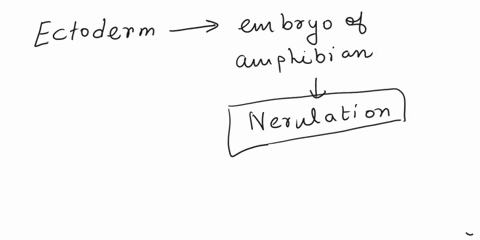 the-process-in-which-ectoderm-covers-entire-embryo-of-amphbia-is-called-34406