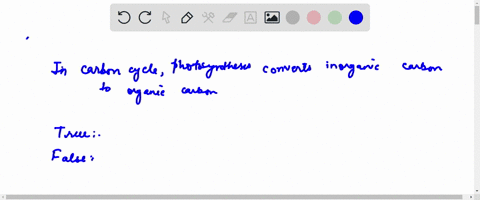 in-the-carbon-cycle-photosynthesis-converts-inorganic-carbon-to-organic-carbon-false-true-57447